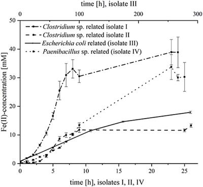 Efficient Bioelectrochemical Conversion of Industrial Wastewater by Specific Strain Isolation and Community Adaptation